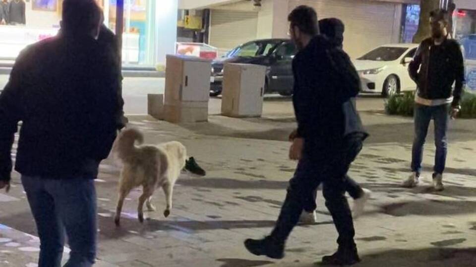 Gülümseten anlar... Önce çaldı, sonra kaçtı