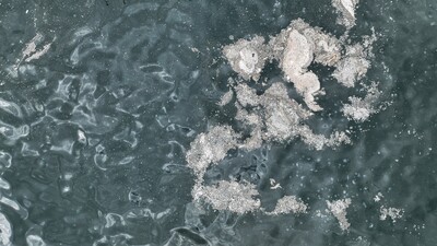 Marmara'da endişe veren müsilaj raporu!