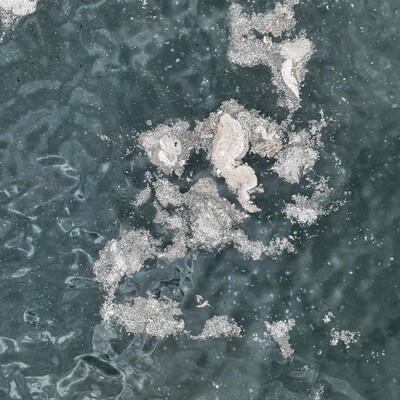 Marmara'da endişe veren müsilaj raporu!