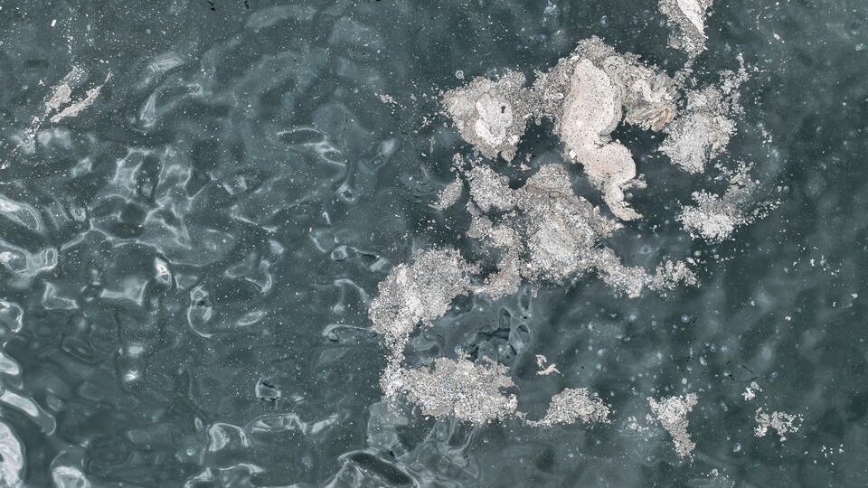 Marmara'da endişe veren müsilaj raporu!