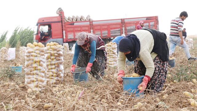 Sayıları 2.7 milyon