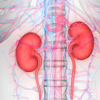 5 gram kuralı! İşte böbreğin iyiliği için dikkat edilmesi gerekenler