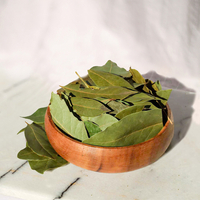 Defne yaprağının faydaları