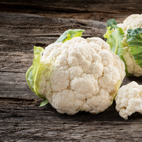 Karnabaharın faydaları