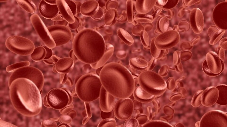 Dünyada her yıl 20 bin hemofili hastası doğuyor
