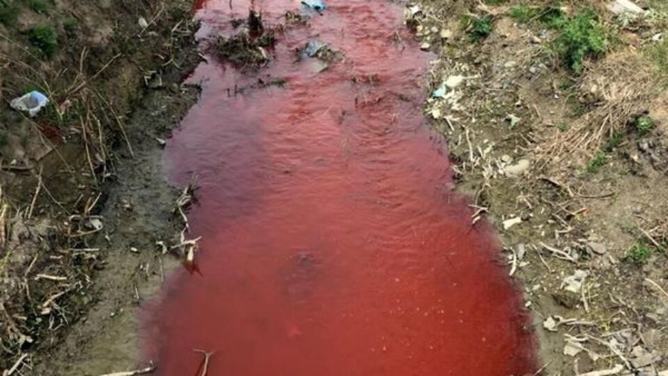 Kırmızı akan Kamara Deresi Marmara Denizi'ne döküldü