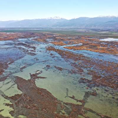 Bu sefer 'ya tutarsa'