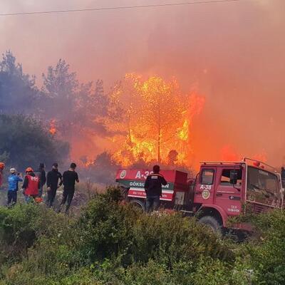 Hatay'dan feci görüntüler!