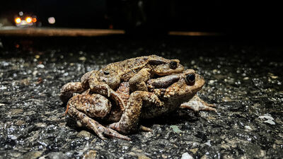 5 bin yıllık ölüm yolculuğu