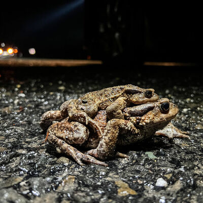 5 bin yıllık ölüm yolculuğu