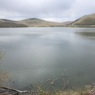 İstanbul'a su sağlayan Kazandere Barajı taştı