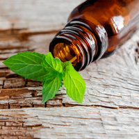 Nane yağının saça faydaları