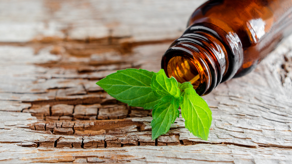 Nane yağının saça faydaları