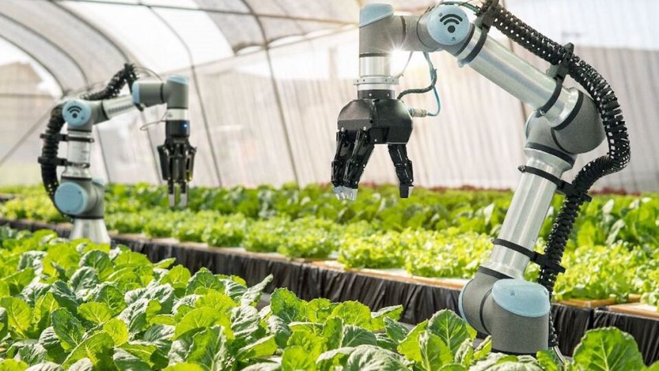 Tarım teknolojileri girişimleri verimliliğe odaklandı