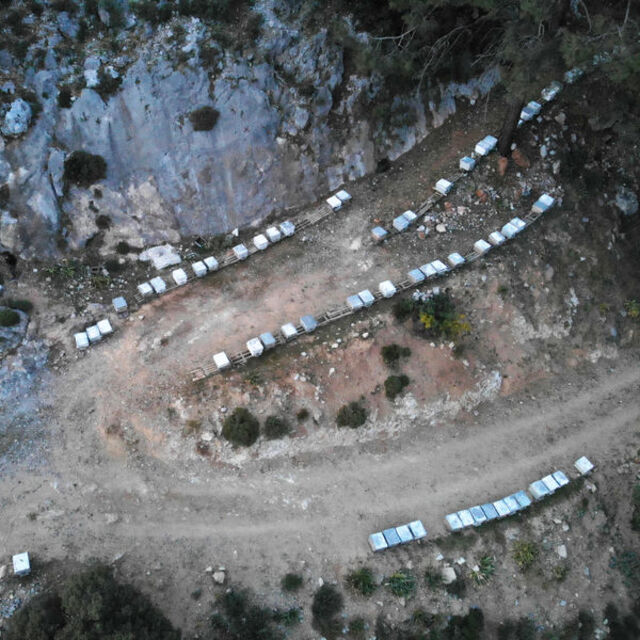 Gezgin arıcıların yayla yolculuğu başladı