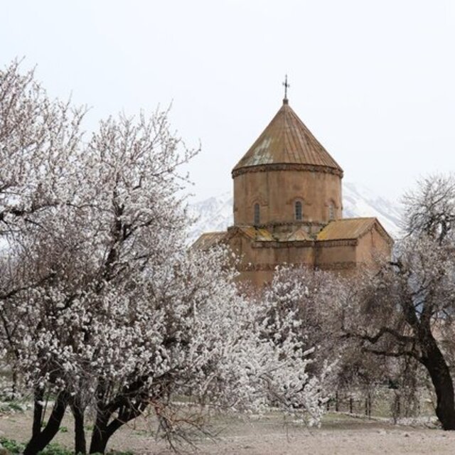 Akdamar Adası çiçek açtı