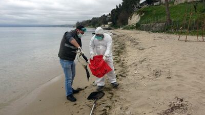 Karadeniz'de bir korkutan gelişme daha!