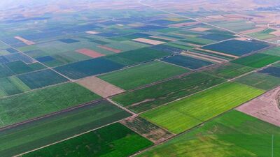 TARSİM hasar prim oranları belli oldu