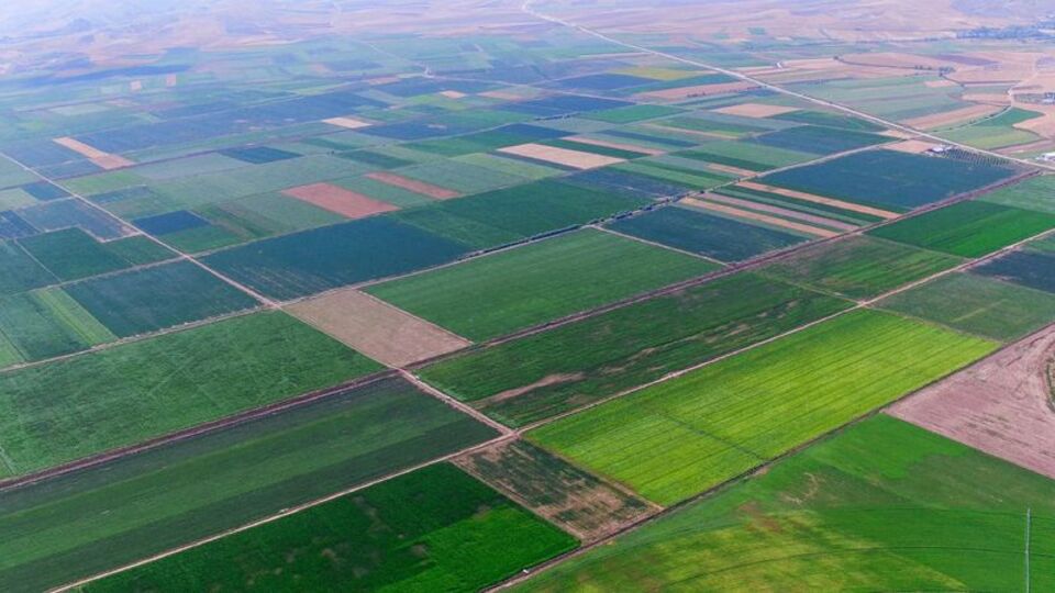 TARSİM hasar prim oranları belli oldu