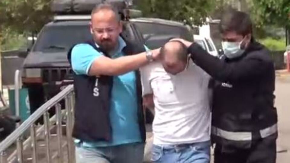 Köpek kavgasında bir ölü, iki yaralı