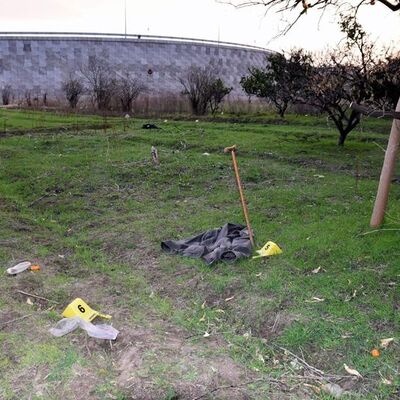 Tarladaki cinayetin sırrı çözüldü