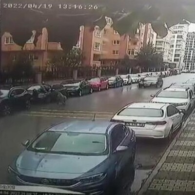 Sokağa terk edilen Pitbull'dan aracın üzerine çıkarak kurtuldu