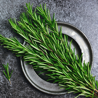 Biberiyenin faydaları