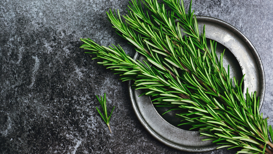 Biberiyenin faydaları