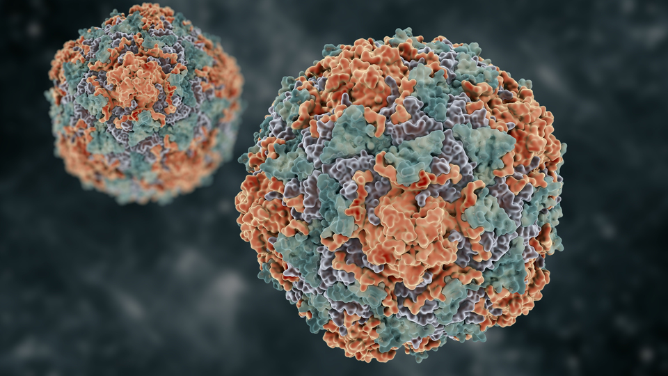 Yeni bir salgın mı?