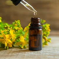 Sarı kantaron yağının cilde faydaları