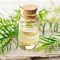 Çay ağacı yağının faydaları