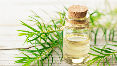 Çay ağacı yağının faydaları