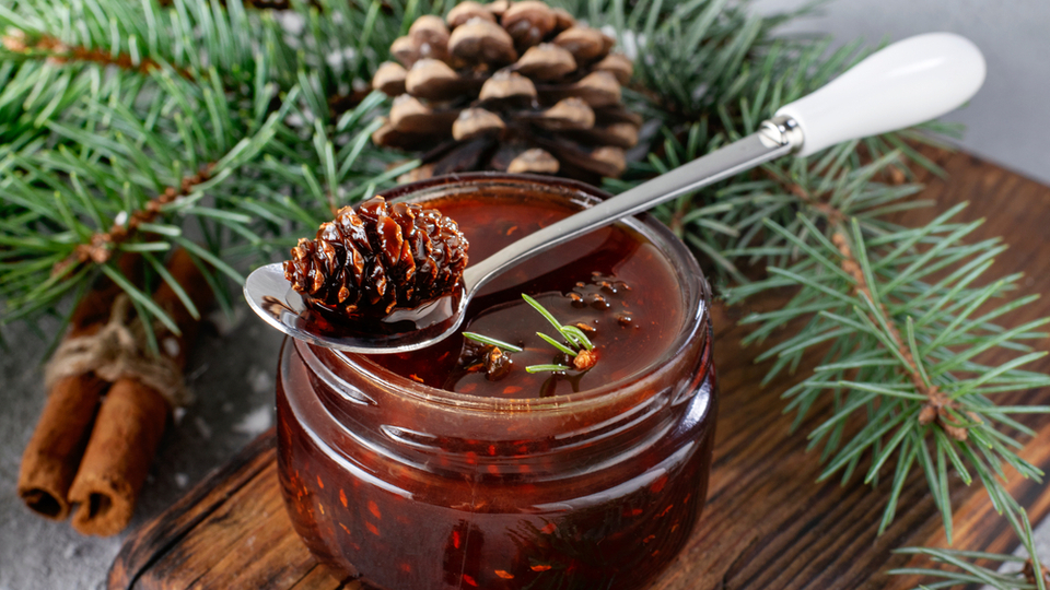 Kozalak şurubunun faydaları