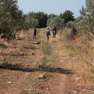 Yüzey araştırmasında önemli keşif!