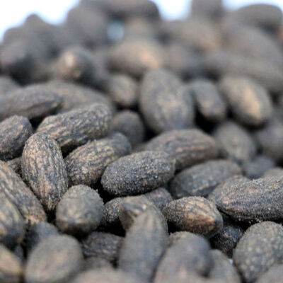 Zeytin çekirdeğinden bakın ne yapıldı!