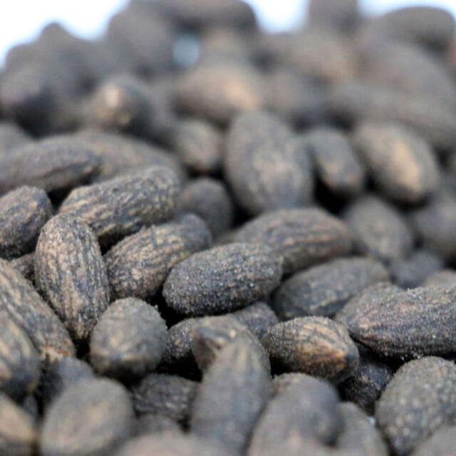 Zeytin çekirdeğinden bakın ne yapıldı!
