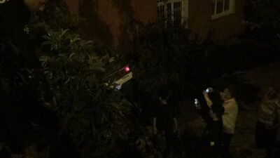 Takla atan araç evin avlusuna uçtu