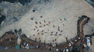 Marmara'da denizin ısınması müsilajı tetikleyebilir