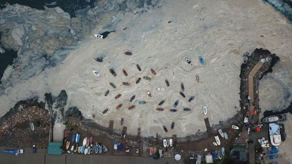 Marmara'da denizin ısınması müsilajı tetikleyebilir