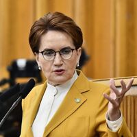 Akşener'den Paylan'ın teklifine tepki