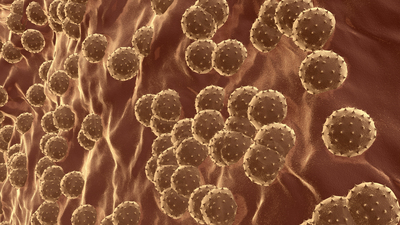 Gizemli hepatit virüsünde küresel salgın şüphesi!