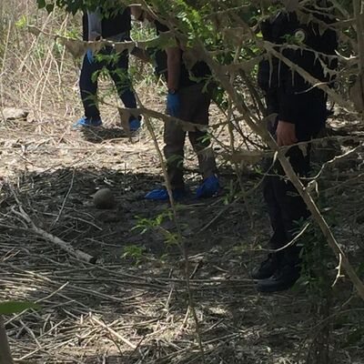 Adana'da korkunç olay! Nehirde kafatası!