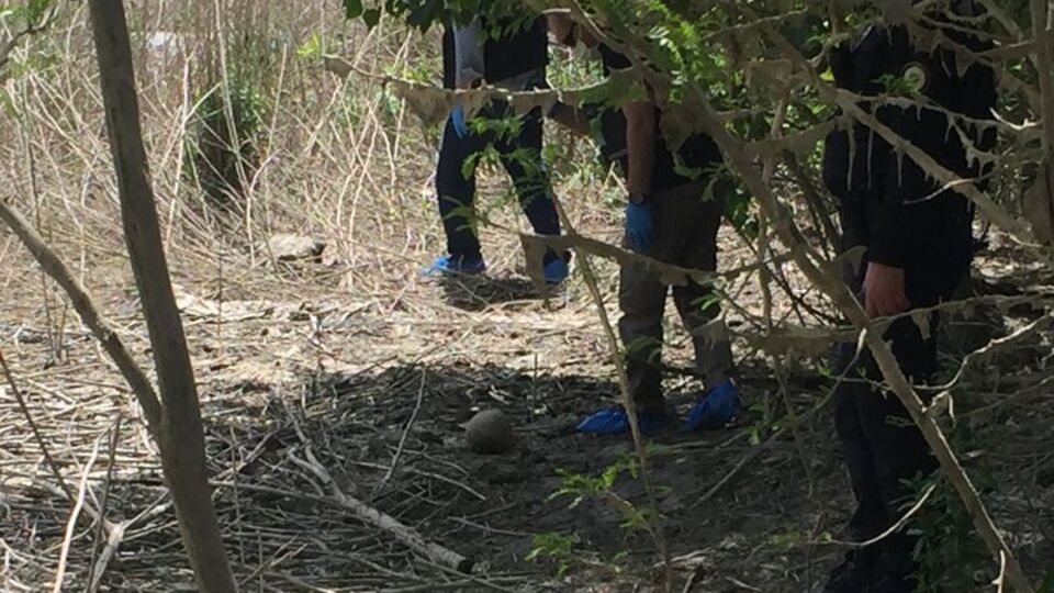 Adana'da korkunç olay! Nehirde kafatası!