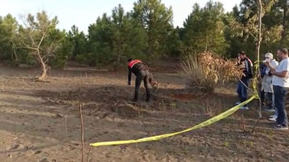 Dayısı öldürdü, kuzenleri gömdü