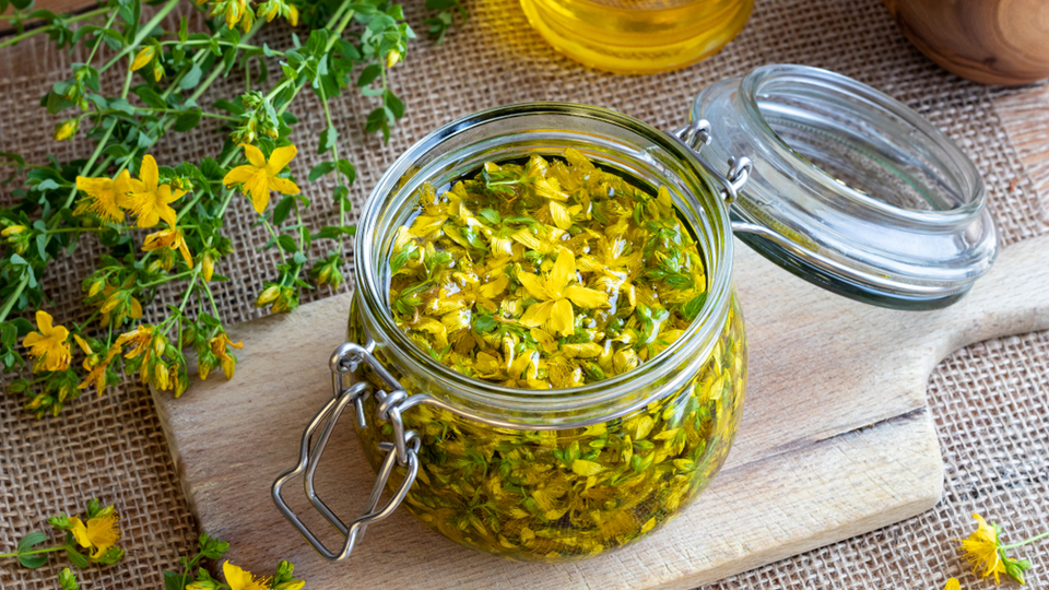 Sarı kantaron yağının mideye faydaları