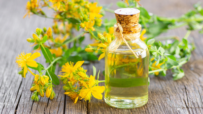 Sarı kantaron yağının faydaları