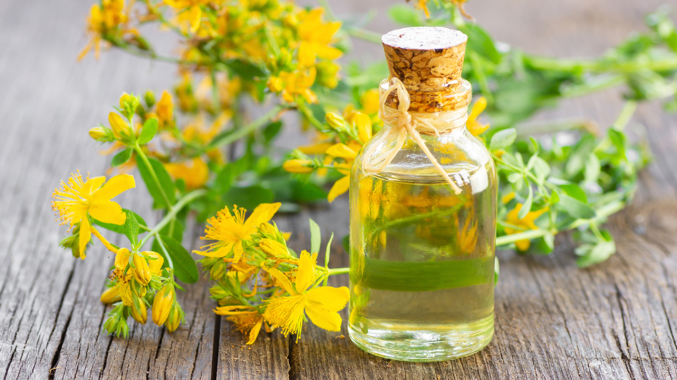 Sarı kantaron yağının faydaları