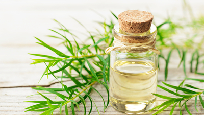 Çay ağacı yağının saça faydaları