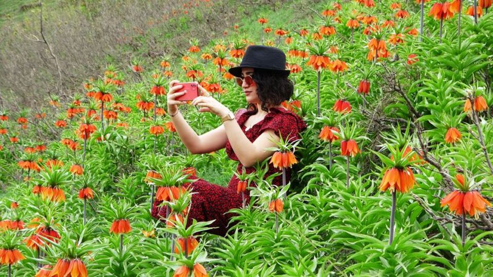 Fotoğraflamak için bin 800 rakımlı dağa tırmandılar