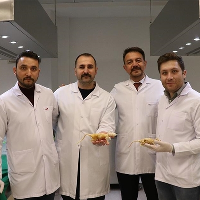 Kadavraların muhafaza maliyetini düşüren teknik geliştirildi